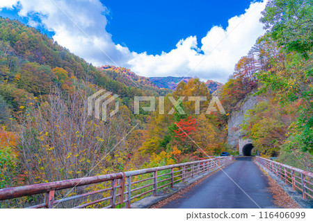 [Autumn material] Autumn leaves of Okususobana Valley [Nagano Prefecture] 116406099