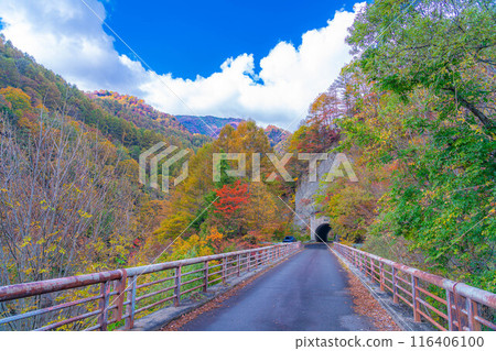 [Autumn material] Autumn leaves of Okususobana Valley [Nagano Prefecture] 116406100