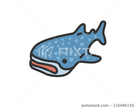 Illustration of a whale shark icon (line drawing color) 116406159