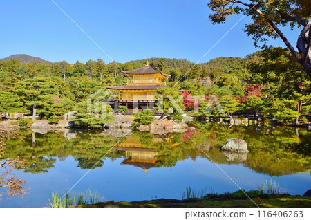 Kinkakuji Temple in Kyoto, shining against the blue sky 116406263