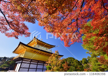 Kinkakuji Temple in Kyoto, shining against the blue sky Kinkakuji Temple in Kyoto, shining against the blue sky 116406398