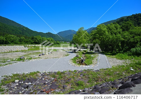 Mitsumata Waterside Park, Water Lily Colony, Kiyotsu River, Riverside Scenery 116406717