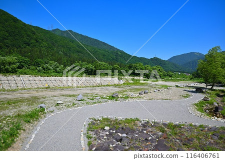 Mitsumata Waterside Park, Water Lily Colony, Kiyotsu River, Riverside Scenery 116406761