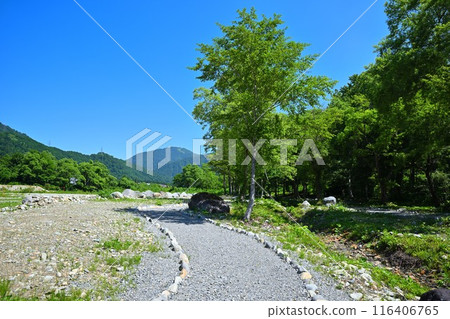 三俁水上樂園、客家苔蘚群落、清津川、河邊風景 三俁水上樂園、客家苔蘚群落、清津川、河邊風景 116406765