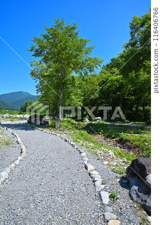 三俁水上樂園、客家苔蘚群落、清津川、河邊風景 三俁水上樂園、客家苔蘚群落、清津川、河邊風景 116406766