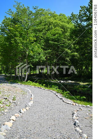 Mitsumata Waterside Park, Water Lily Colony, Kiyotsu River, Riverside Scenery 116406768