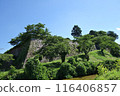 Early summer at Sasayama Castle ruins, stone walls, early July 116406857