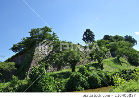 Early summer at Sasayama Castle ruins, stone walls, early July 116406857