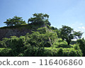 Early summer at Sasayama Castle ruins, stone walls, early July 116406860