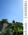 Early summer at Sasayama Castle ruins, stone walls, early July 116406861