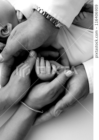 Small hand of a newborn baby with tiny fingers, head, nose and ear of a newborn. Palm hand of parents, father and mother of a newborn. Studio macro black and white photography. Small hand of a newborn baby with tiny fingers, head, nose and ear of a newborn. Palm hand of parents, father and mother of a newborn. Studio macro black and white photography. 116406909