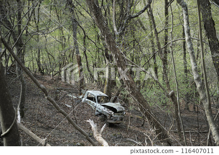 A decayed track 116407011