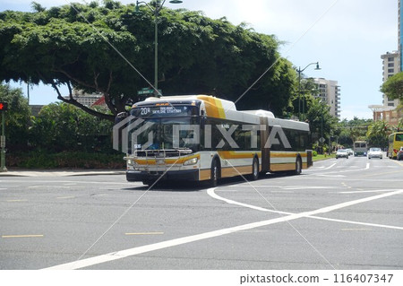 Hawaii State Bus Honolulu Bus Hawaii State Bus Honolulu Bus 116407347