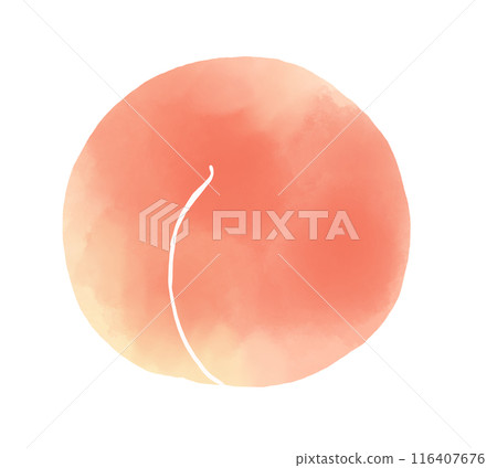 Watercolor style peach illustration 116407676