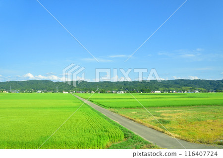 從JR東日本信越線三站到長岡站的車窗看到的景色（2022年夏季） 116407724