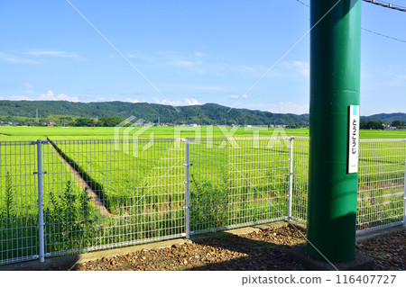 Scenery from the train window on the JR East Shinetsu Line from Sanjo Station to Nagaoka Station (Summer 2022) 116407727