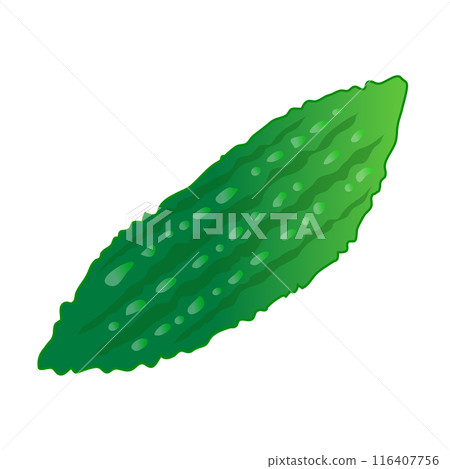 手繪風格可愛苦瓜插畫 116407756