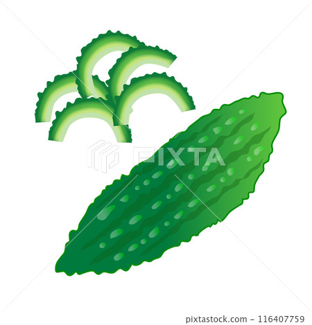 手繪風格可愛苦瓜插畫 116407759