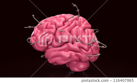 The Brain and barbed wire for sci or medical concept 3d rendering. The Brain and barbed wire for sci or medical concept 3d rendering. 116407865