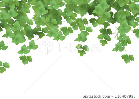 Kudzu Leaf Card 1 116407985
