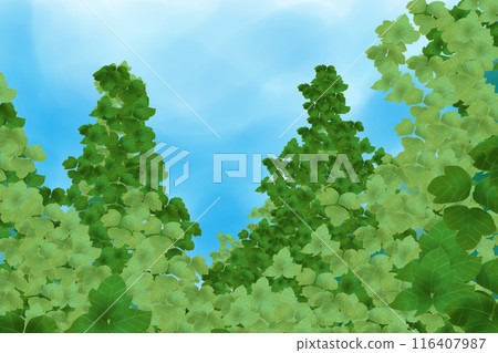 Kudzu Leaf Card 2 116407987