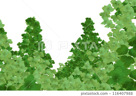 Kudzu Leaf Card 3 116407988