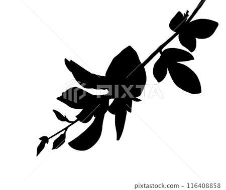 萩花剪影圖 萩花剪影圖 116408858