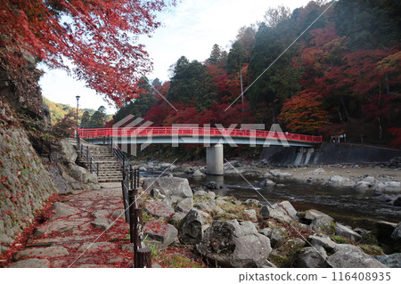 Viewing autumn leaves at Korankei - A stroll through the autumn leaves 116408935