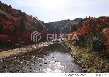 香嵐溪賞紅葉、紅葉散步 香嵐溪賞紅葉、紅葉散步 116408964