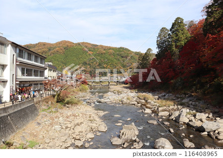 香嵐溪賞紅葉、紅葉散步 香嵐溪賞紅葉、紅葉散步 116408965