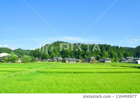 View from the train window from Niitsu Station to Sanjo Station on the JR East Shinetsu Line (Summer 2022) View from the train window from Niitsu Station to Sanjo Station on the JR East Shinetsu Line (Summer 2022) 116408977
