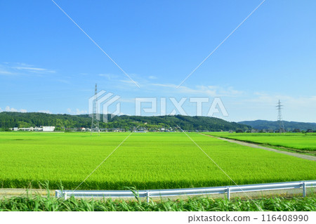 View from the train window from Niitsu Station to Sanjo Station on the JR East Shinetsu Line (Summer 2022) View from the train window from Niitsu Station to Sanjo Station on the JR East Shinetsu Line (Summer 2022) 116408990