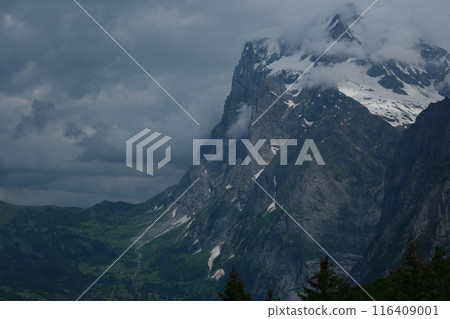 瑞士阿爾卑斯山的一條風景優美的小徑。米特爾洪峰和格林德瓦 116409001