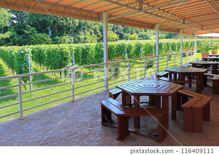 夏天的安曇野酒莊 夏天的安曇野酒莊 116409111