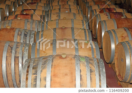 酒窖內襯有橡木桶 116409200