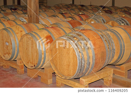 Wine cellar lined with oak barrels 116409205