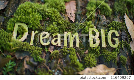 Moss Personal development concept art poster. Moss Personal development concept art poster. 116409297