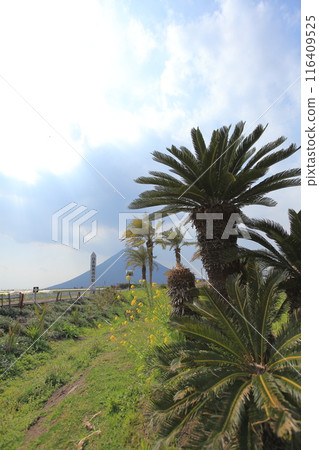 Local line, signpost of the southernmost station in Japan, cycads and Mt. Kaimon Local line, signpost of the southernmost station in Japan, cycads and Mt. Kaimon 116409525