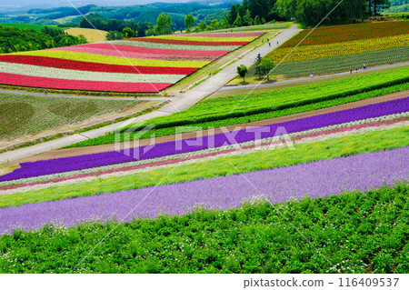 Palette Garden 116409537