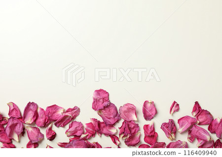 Pink dried flower petals on white background, space for text 116409940