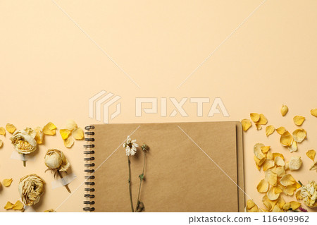Dried flower buds on light background, space for text Dried flower buds on light background, space for text 116409962