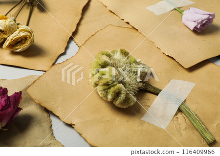 Vintage composition of dried flowers on old sheets of paper, close up Vintage composition of dried flowers on old sheets of paper, close up 116409966