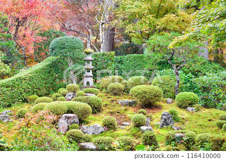 大原三千院秋葉十平園(京都市左京區) 大原三千院秋葉十平園(京都市左京區) 116410000