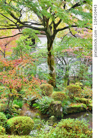 大原三千院秋葉十平園（京都市左京區） 116410443