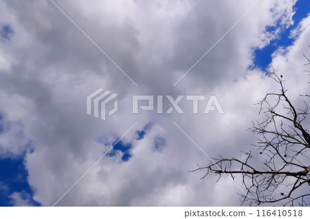 Cloudy sky (background material) 116410518