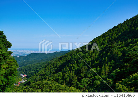 從神奈川縣丹澤大山國定公園的展望台眺望的景色 116410660