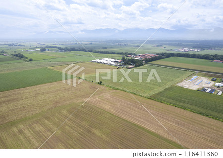 View from the Mitani Panorama Park in the Tokachi Plain, Hokkaido (aerial view) 116411360