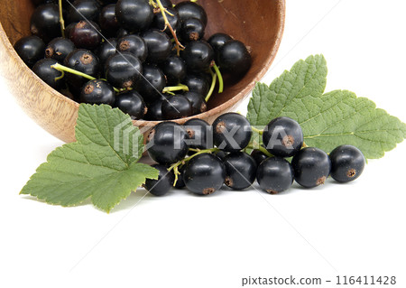 Fresh black currants in a wooden bowl with green leaves on a white background 116411428
