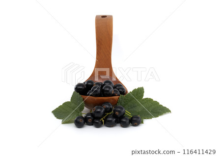 Fresh black currants in a wooden spoon with green leaves on a white background 116411429