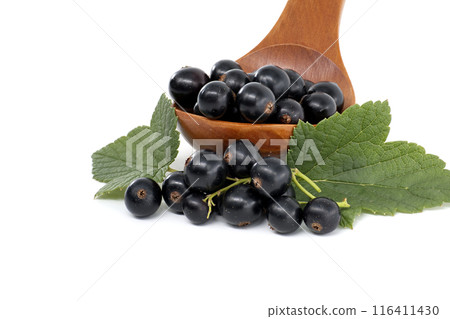 Fresh black currants in a wooden spoon with green leaves on a white background Fresh black currants in a wooden spoon with green leaves on a white background 116411430
